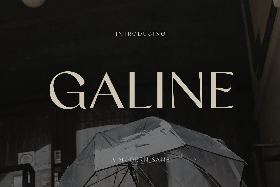 Galine Font - YouWorkForThem