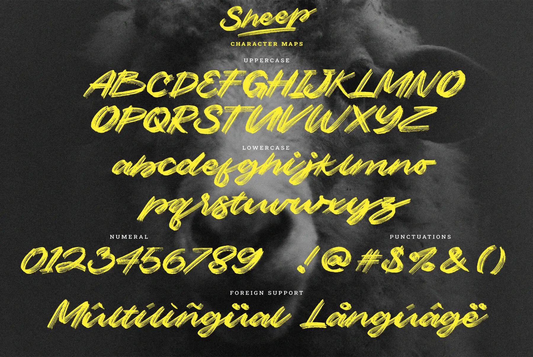 Sheep Brush Font - YouWorkForThem
