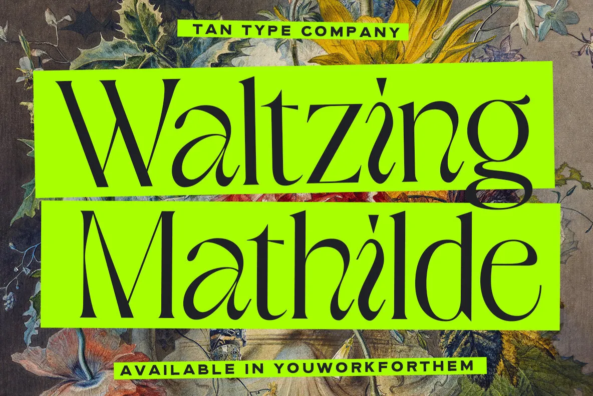 TAN Waltzing Mathilde