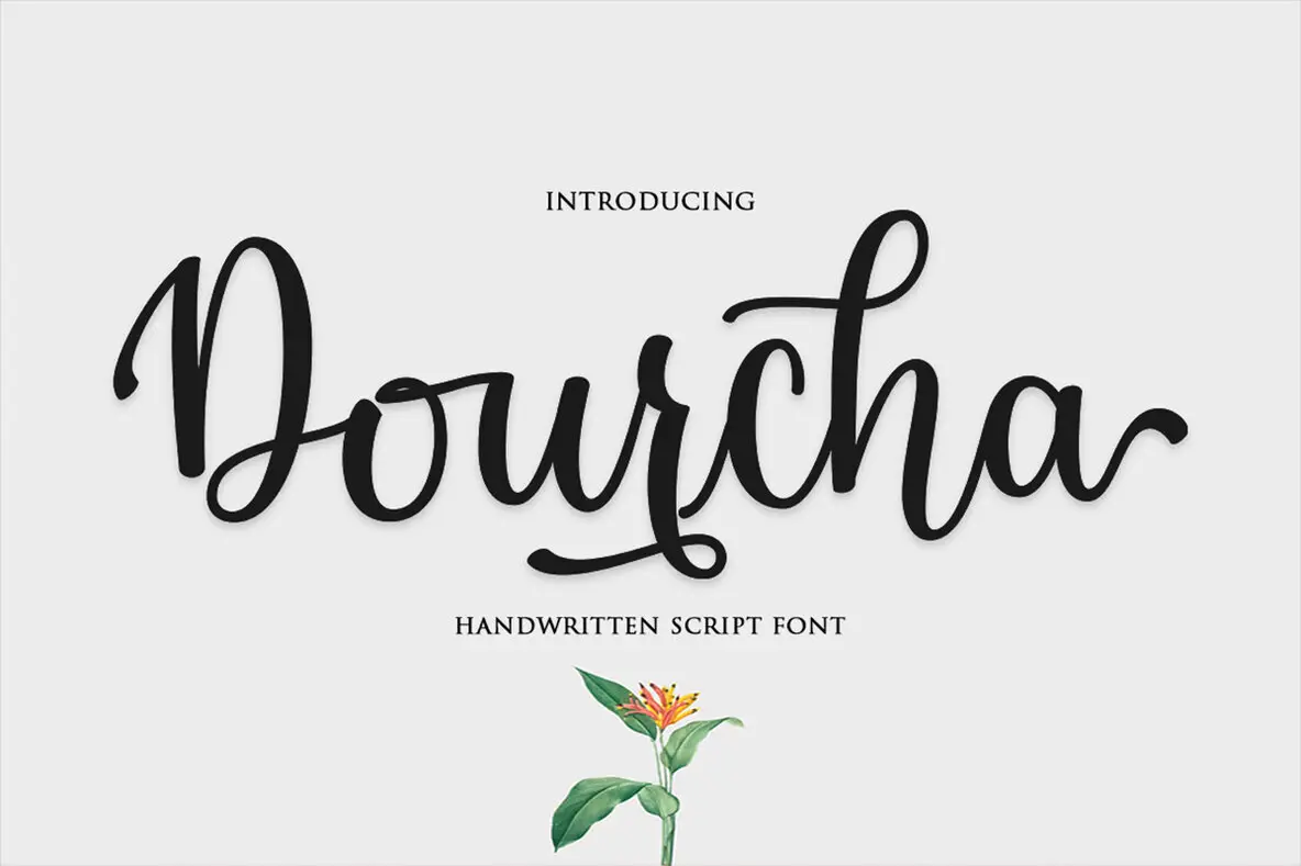 Dourcha