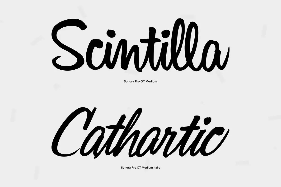 Sonora Pro Font - YouWorkForThem