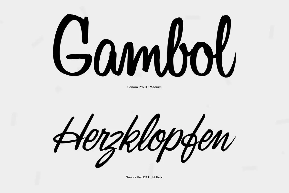 Sonora Pro Font - FontPath