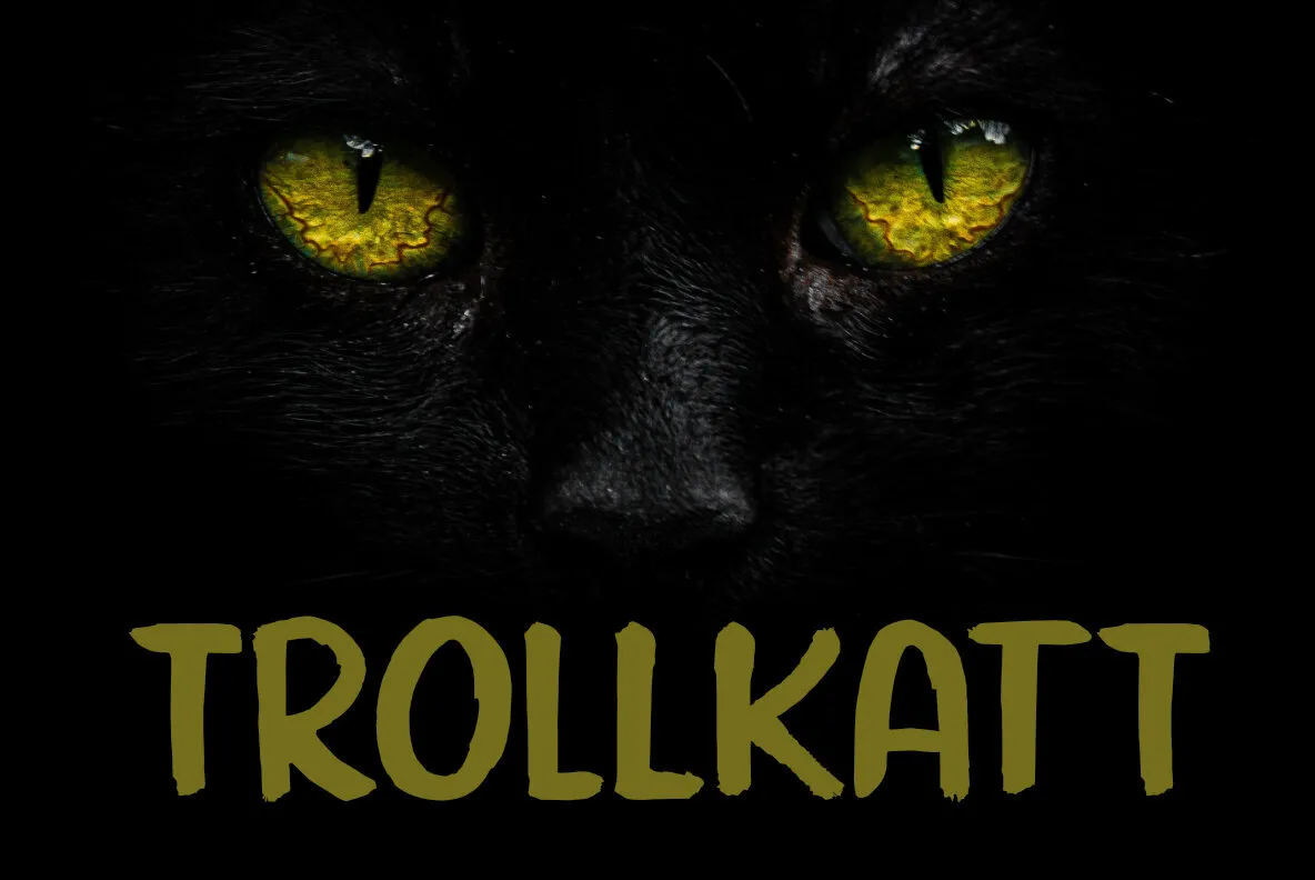 Trollkatt