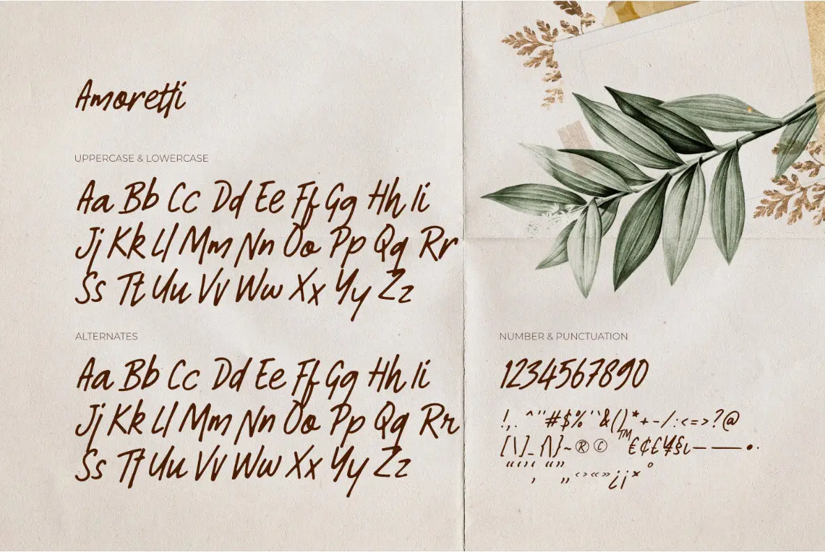 Amoretti Font - YouWorkForThem