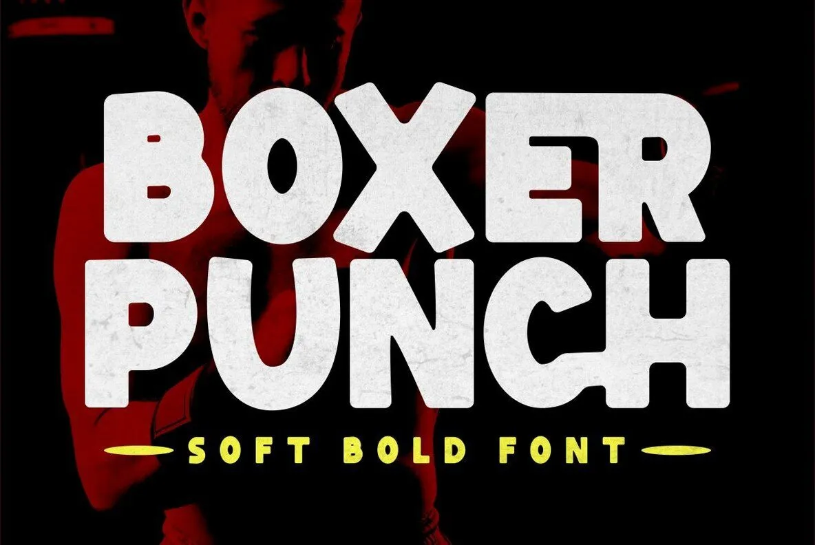 Boxer Punch