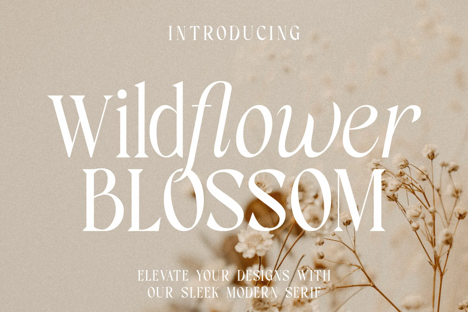 Wildflower Blossom