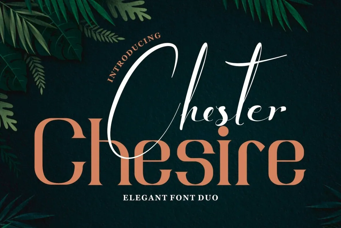 Chester Chesire