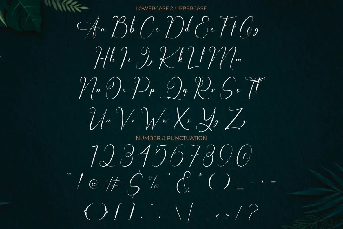 Chester Chesire Font - YouWorkForThem