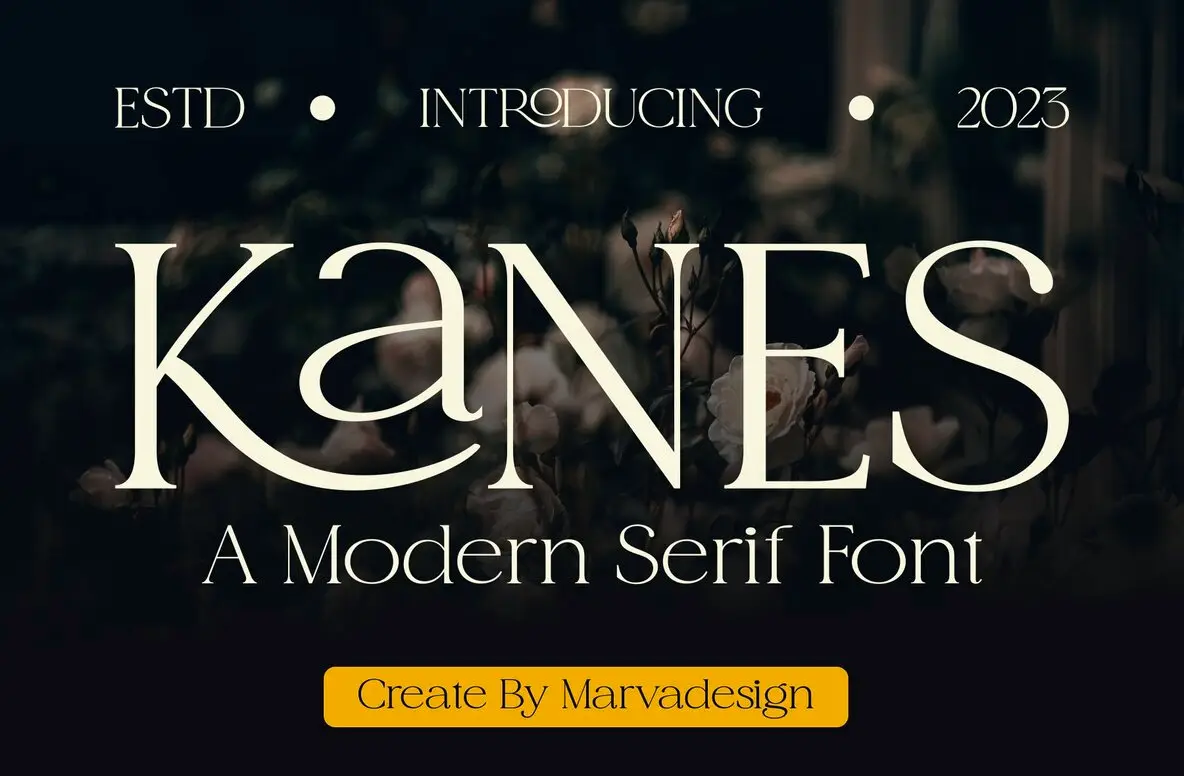 Kanes Font - YouWorkForThem display picture 3