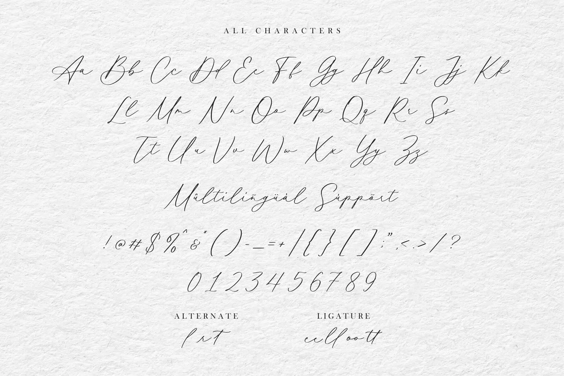 Mathilda Calligraphy Font - YouWorkForThem