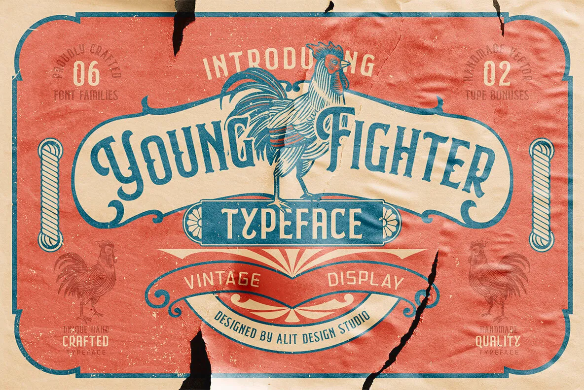 Young Fighter