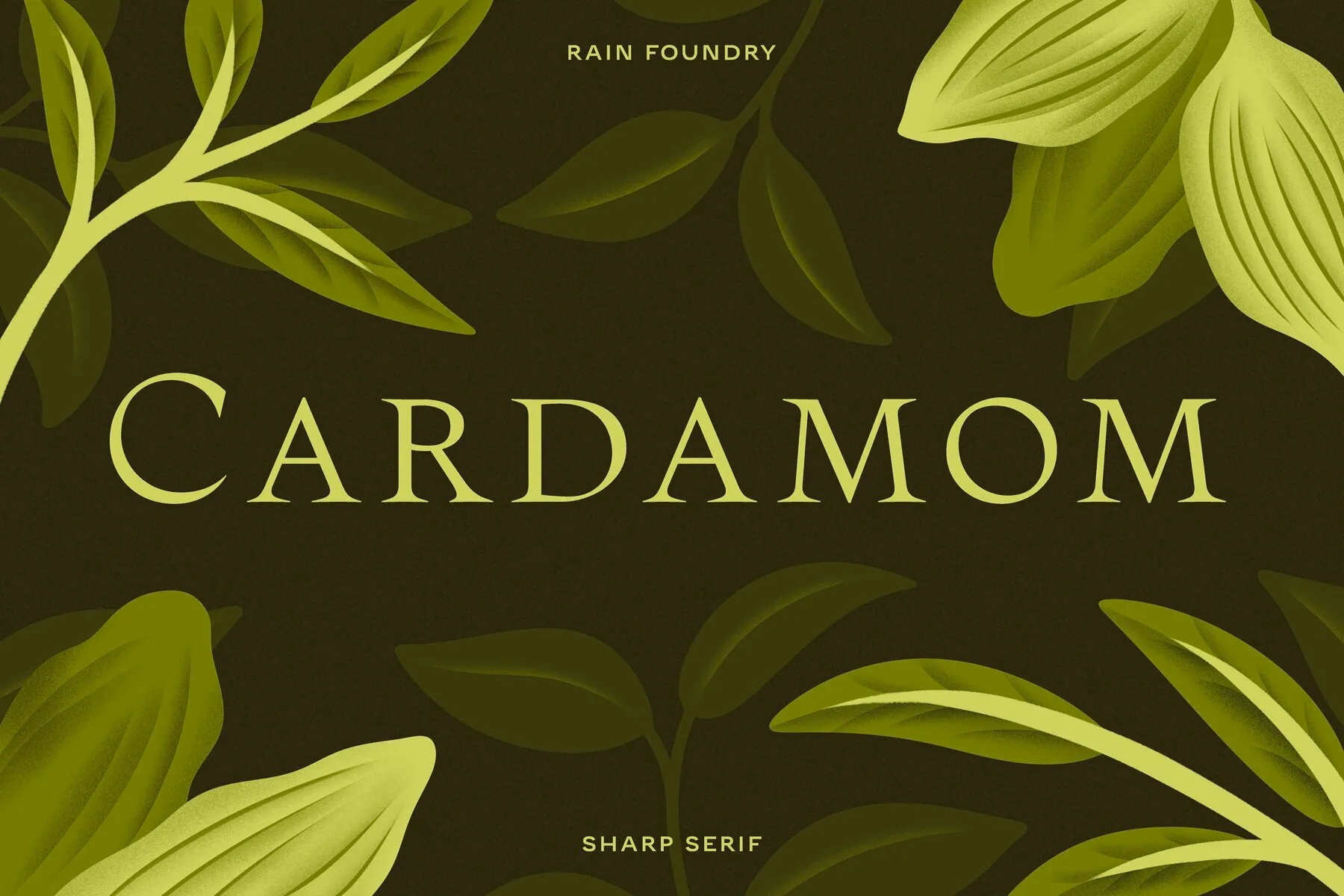 Cardamom