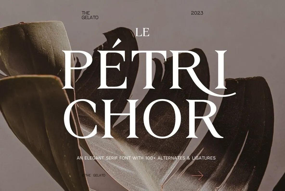 Le Petrichor