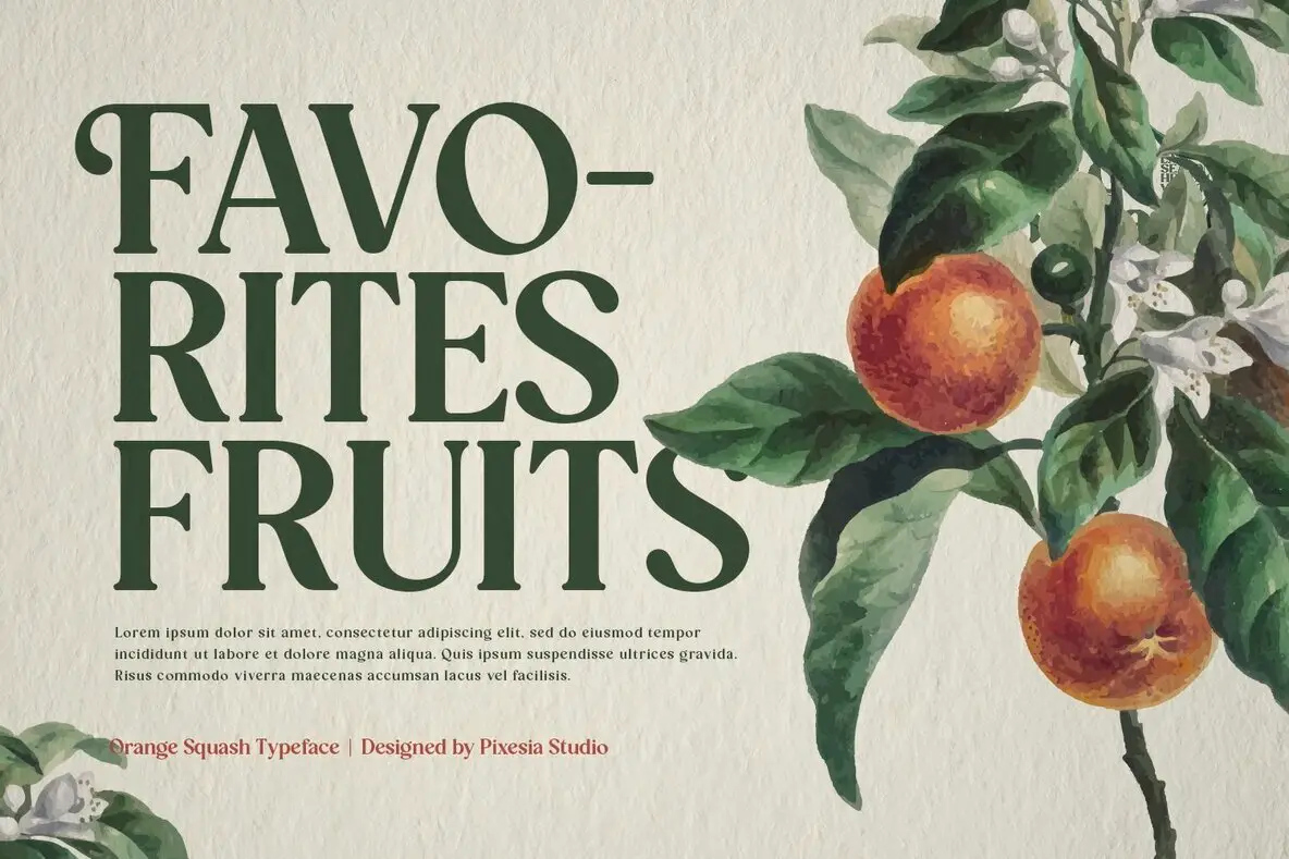 Orange Squash Font - Fontpath