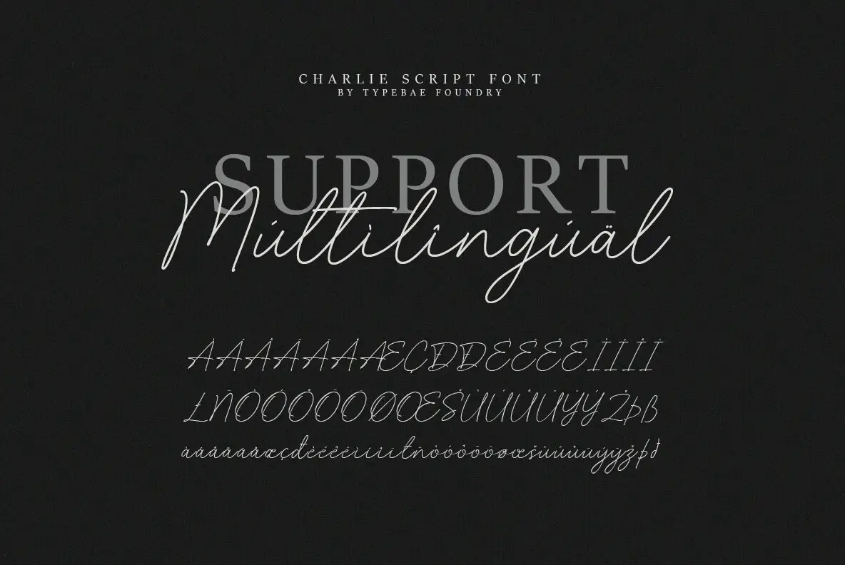 Charlie Script Font - FontPath