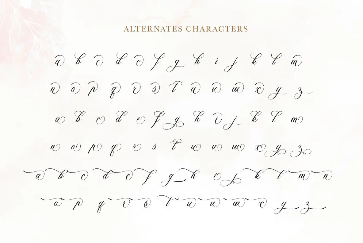 Alexandra Calligraphy Font - YouWorkForThem