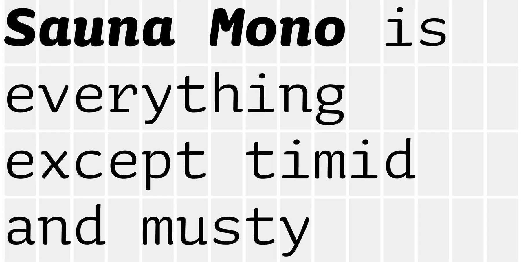 Sauna Mono Pro Font YouWorkForThem