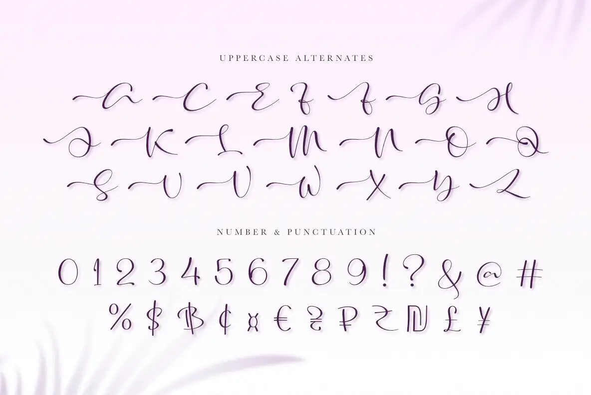 Freya Callysta Font - FontPath