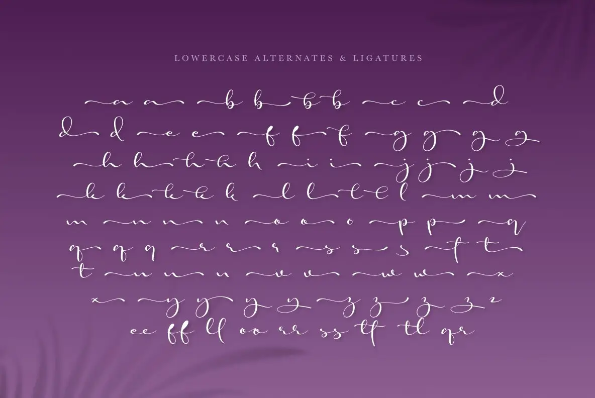 Freya Callysta Font - FontPath