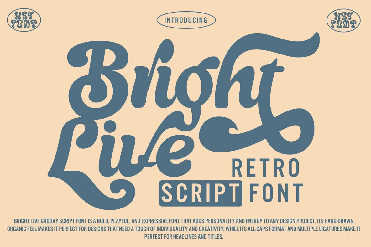 Be Bright Script Font - Dafont Free
