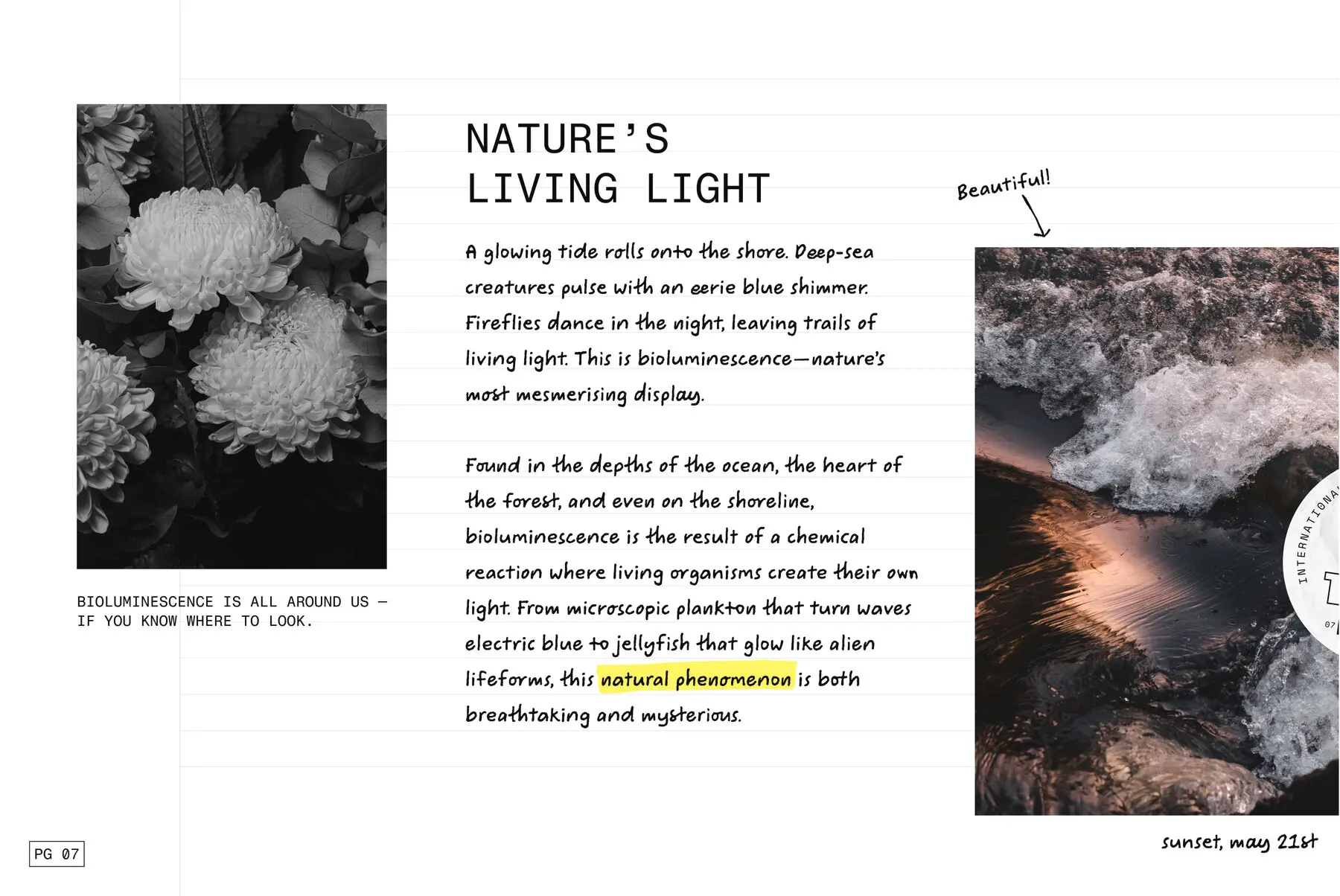 Naturalist Font - YouWorkForThem