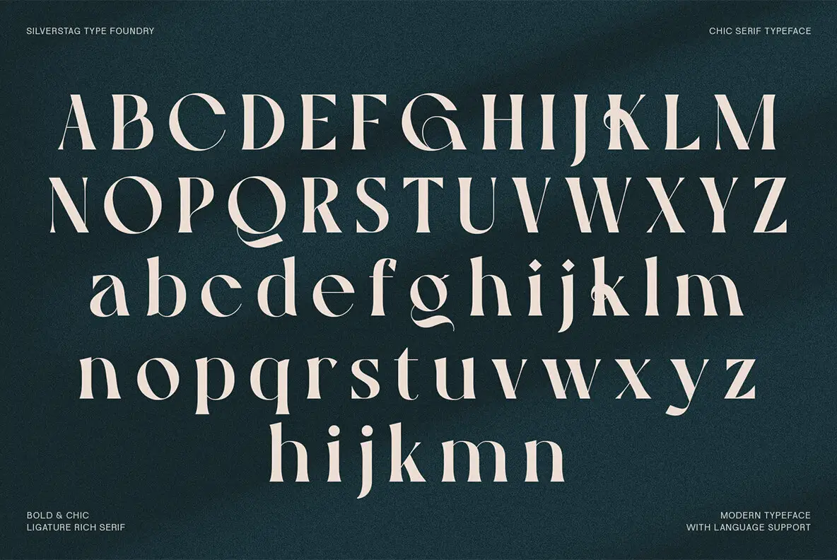 Gallica Font - YouWorkForThem