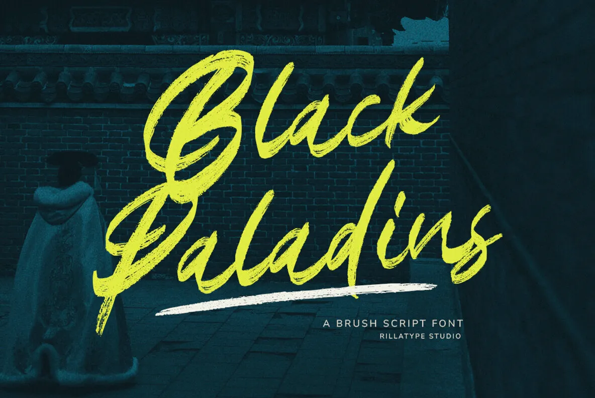 Black Paladins