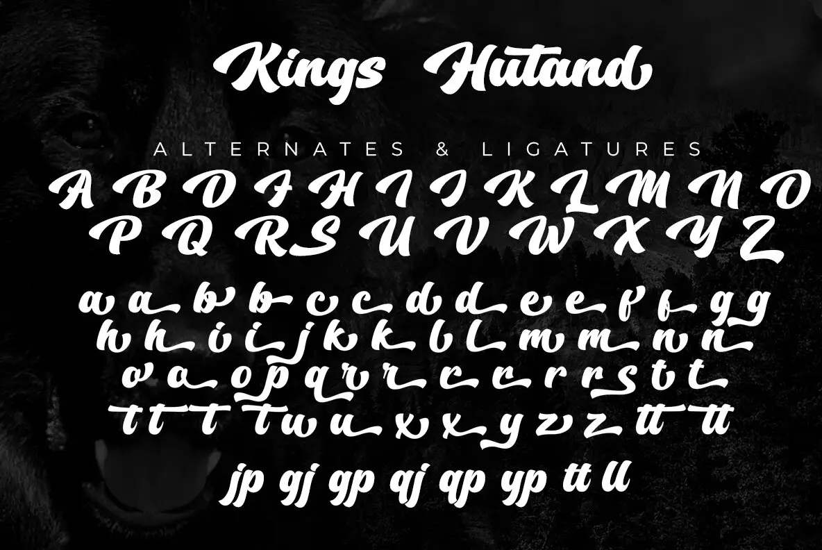 Kings Script Font Kings Hutand Font - FontPath