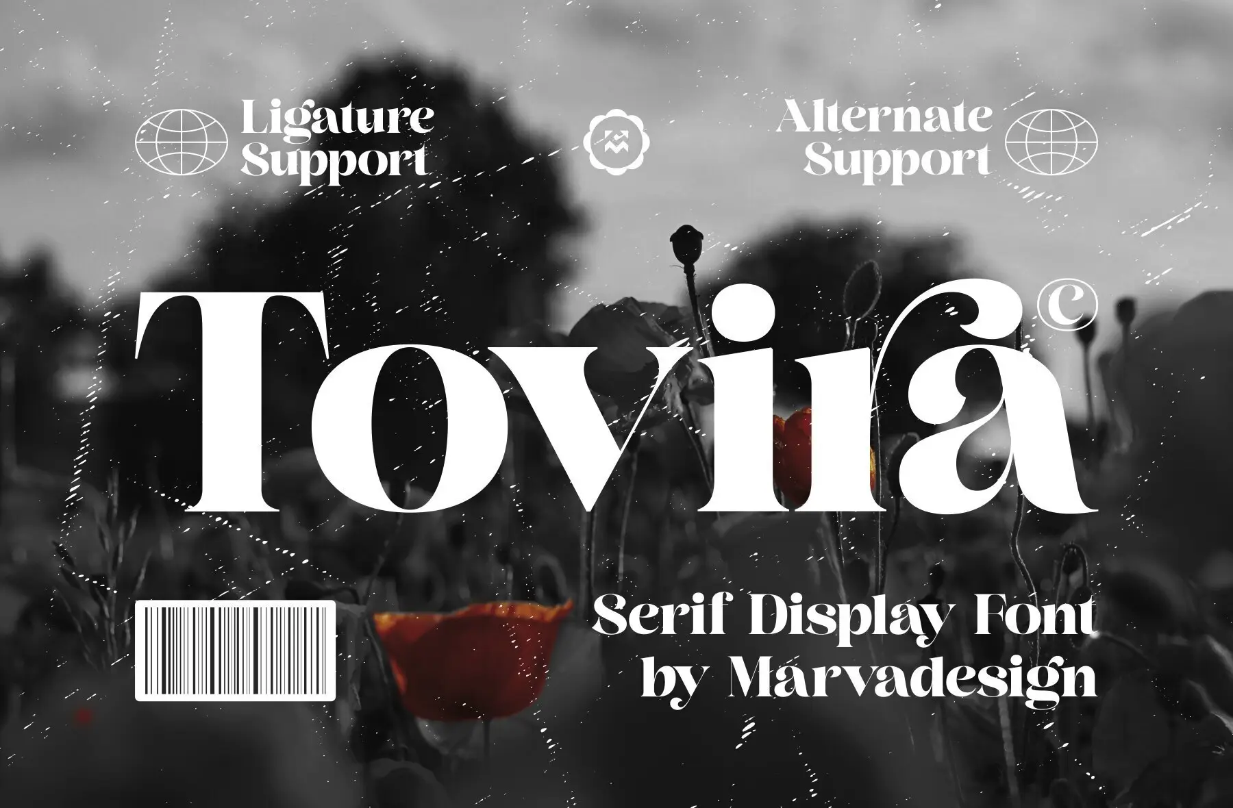 Tovira