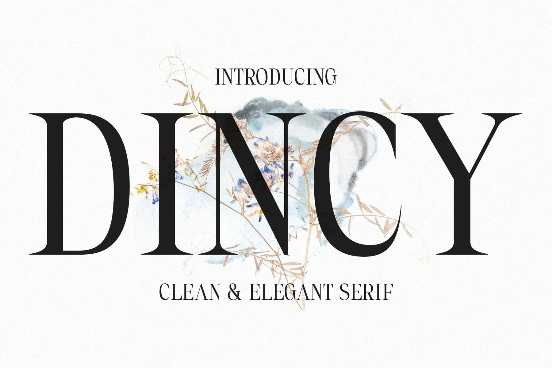 Dincy