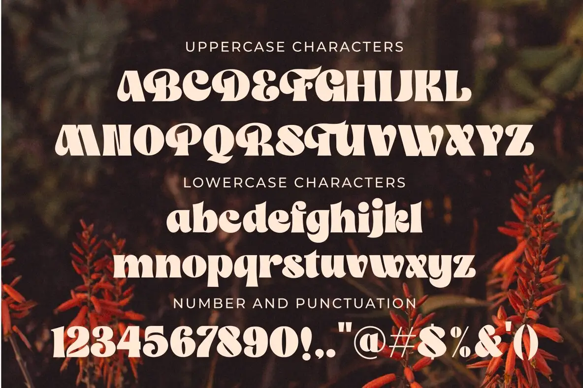 Dunkey The Franky Dunkey Font - FontPath