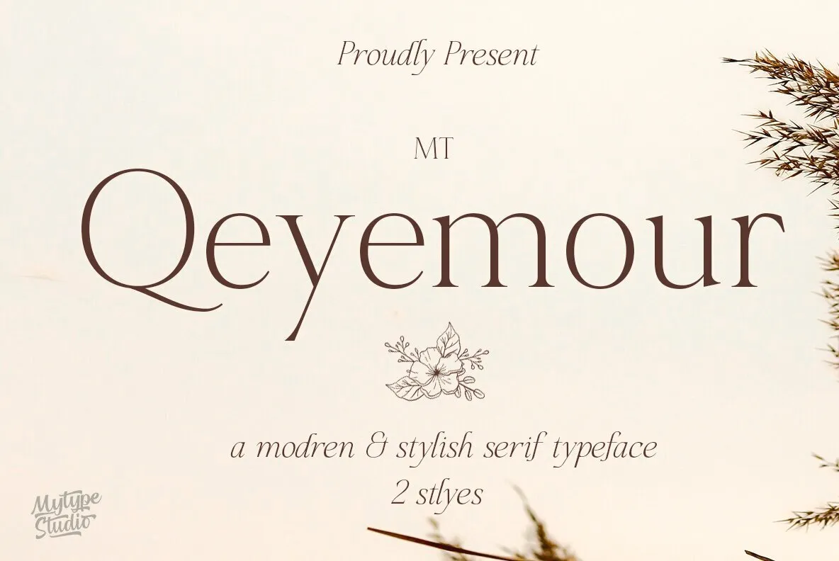 MT Qeyemour