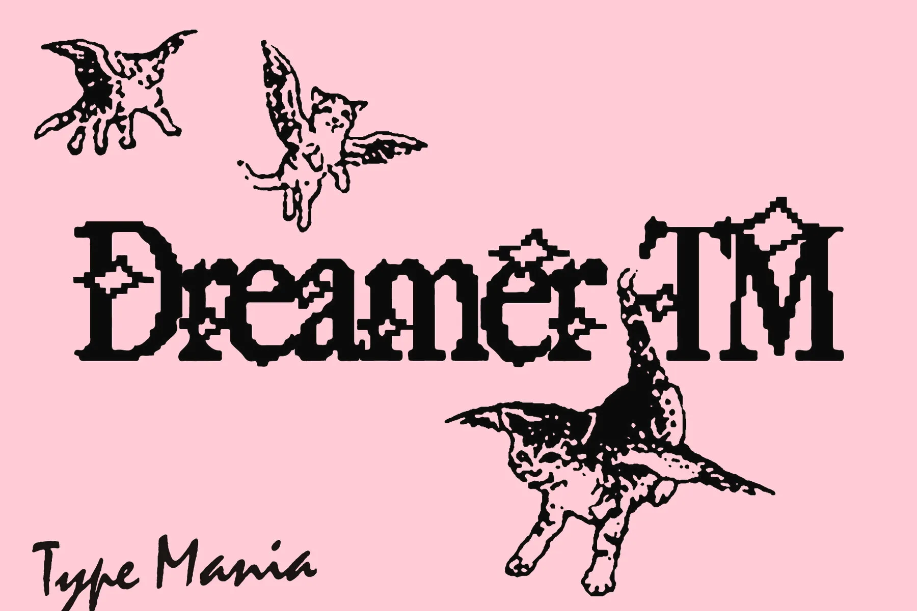 Dreamer TM