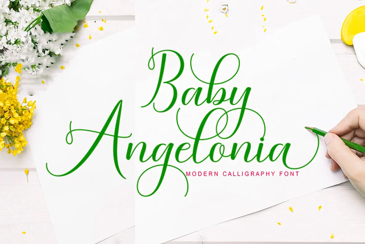 Baby Angelonia