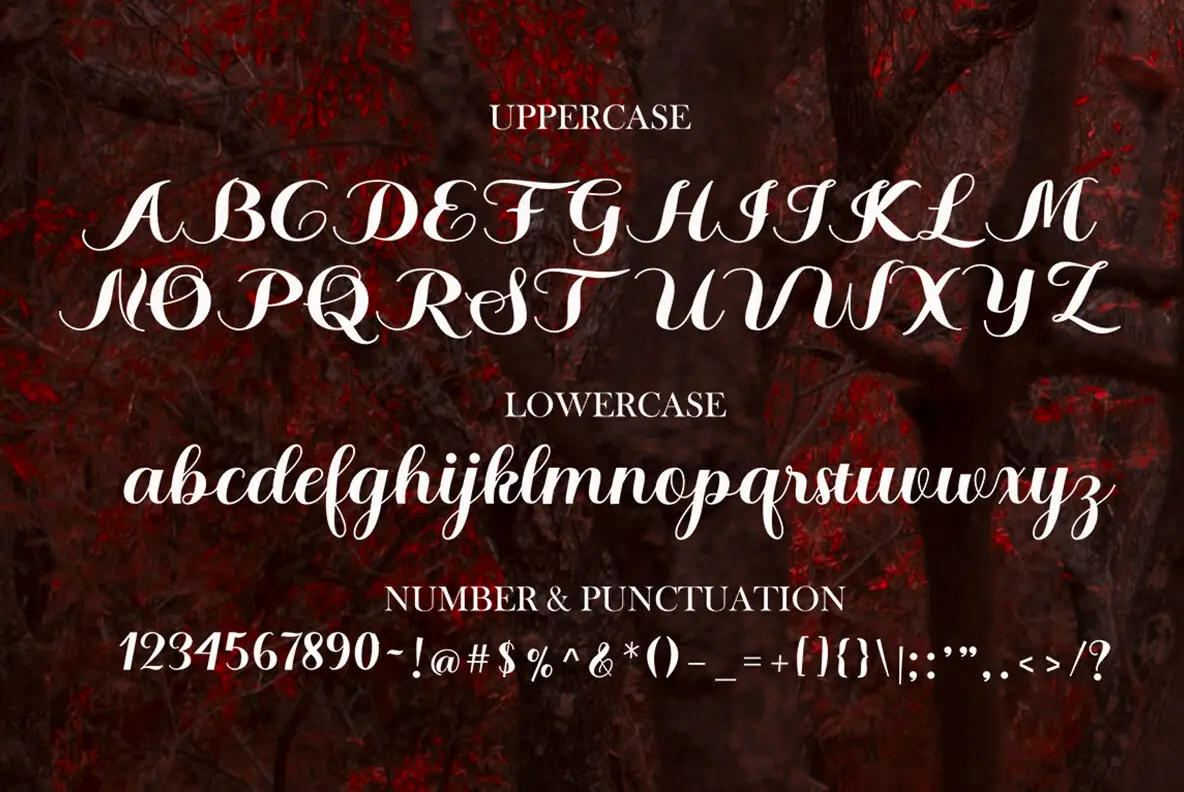 Braylen Font - YouWorkForThem