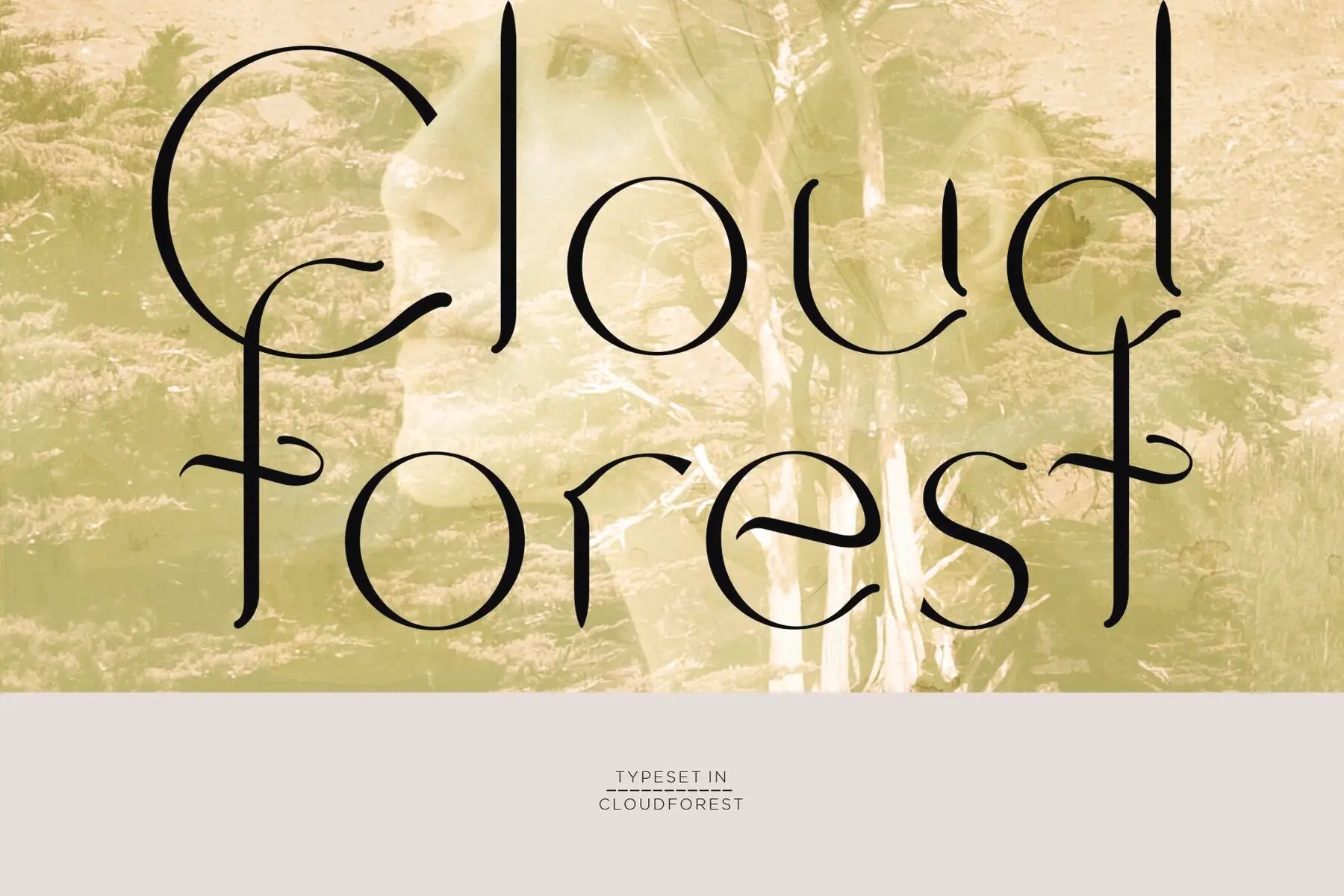 Cloudforest