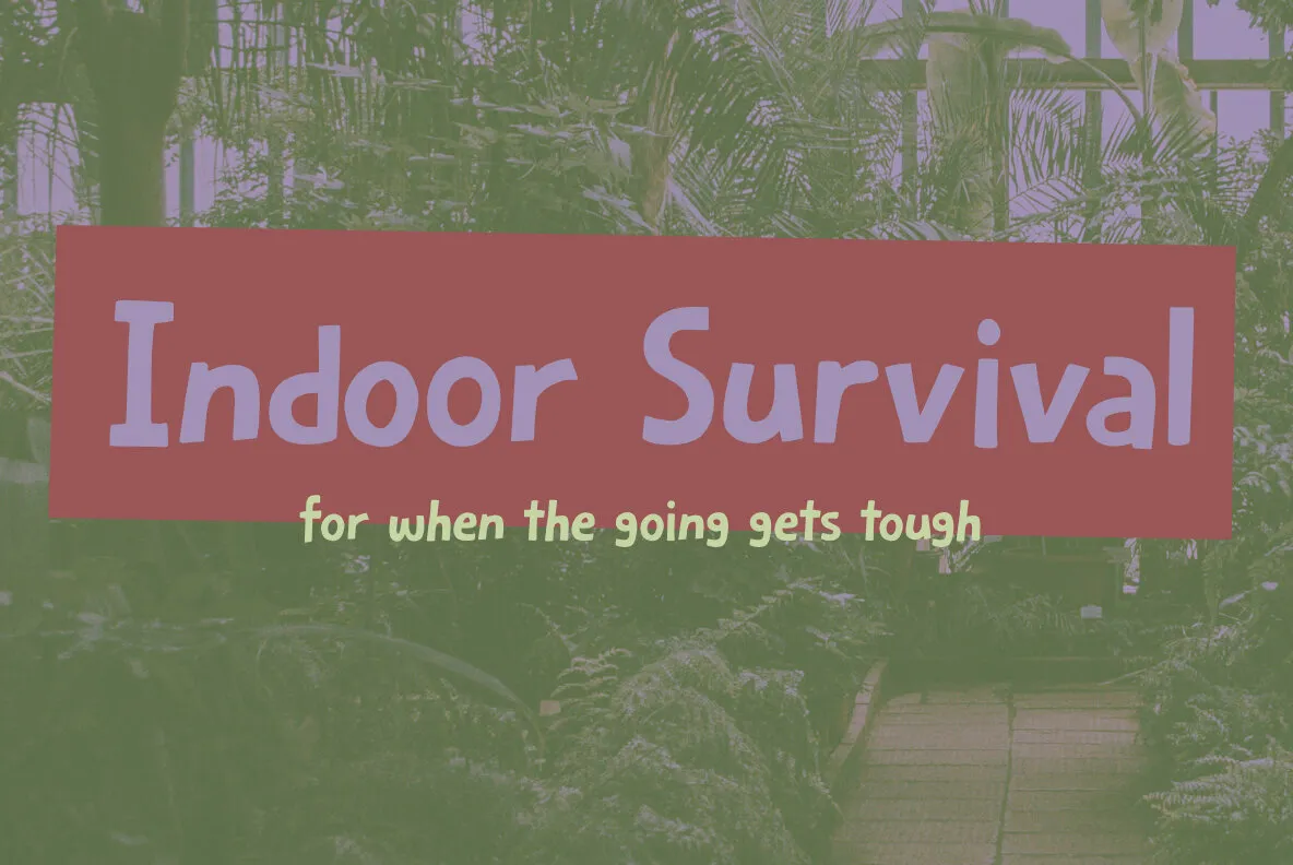 Indoor Survival