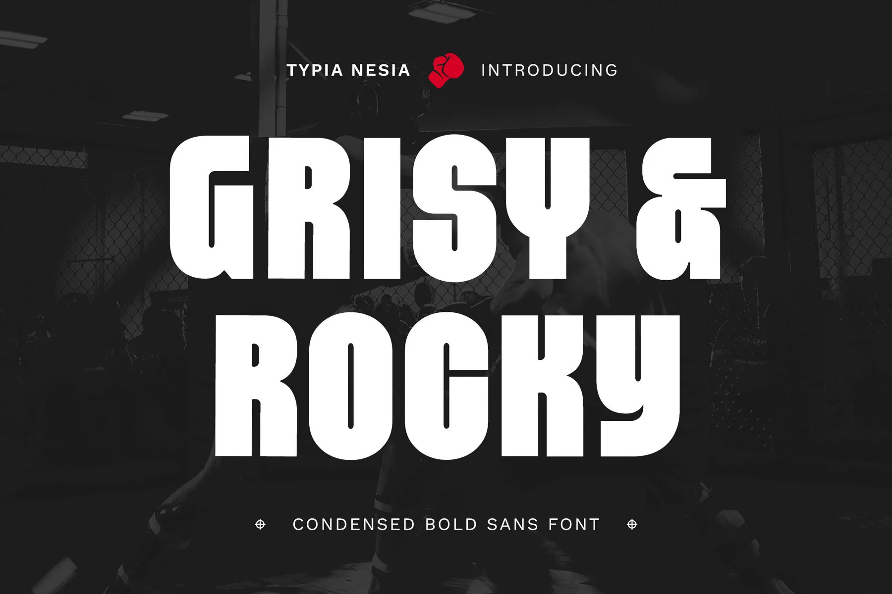 Grisy and Rocky