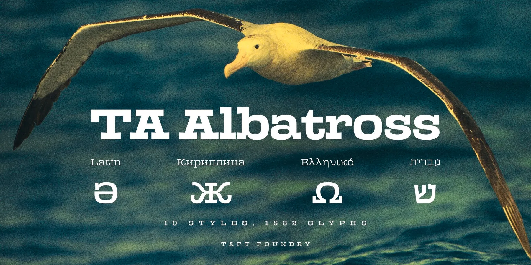 TA Albatross