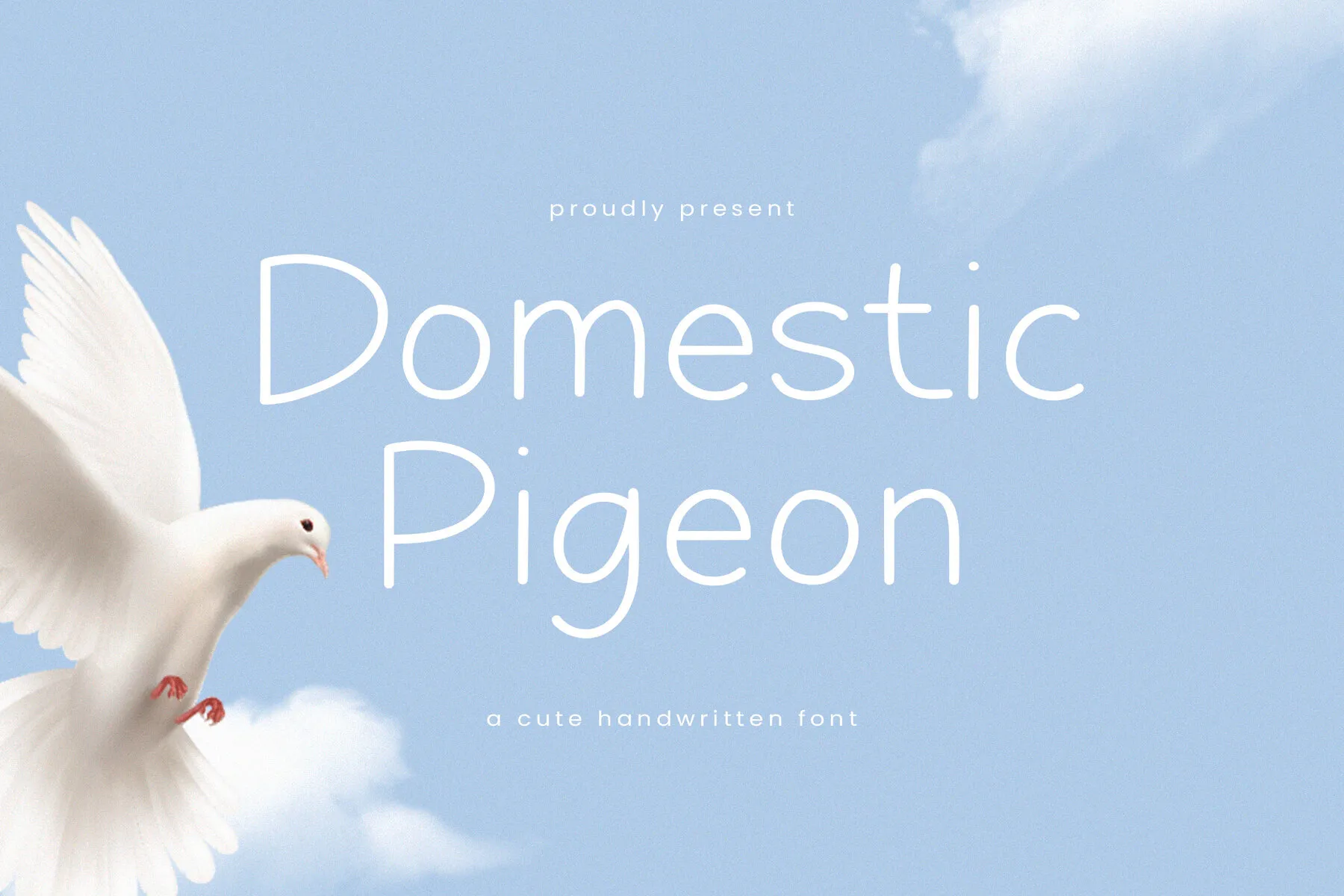 Domestic Pigeon