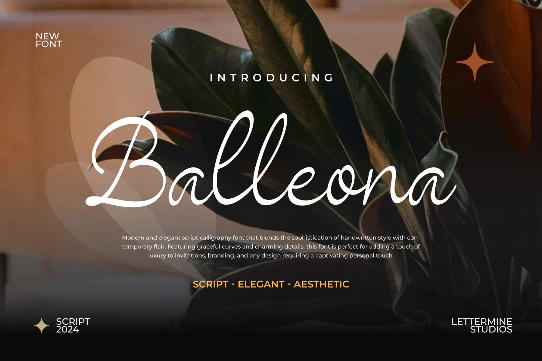 Ballenoa