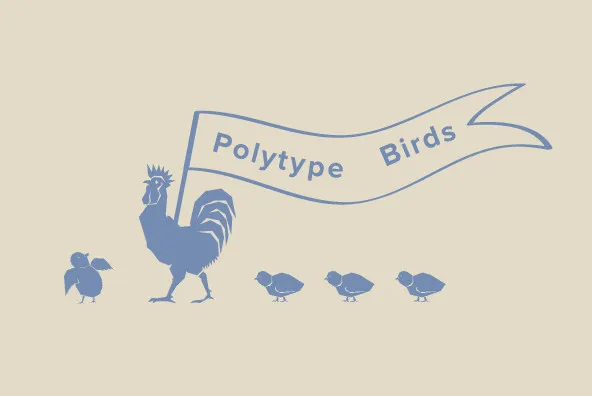 Polytype Birds One