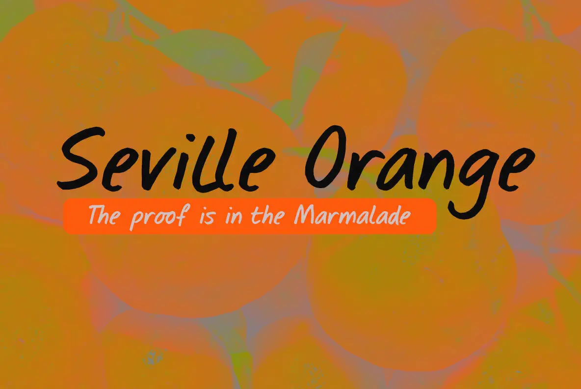 Seville Orange