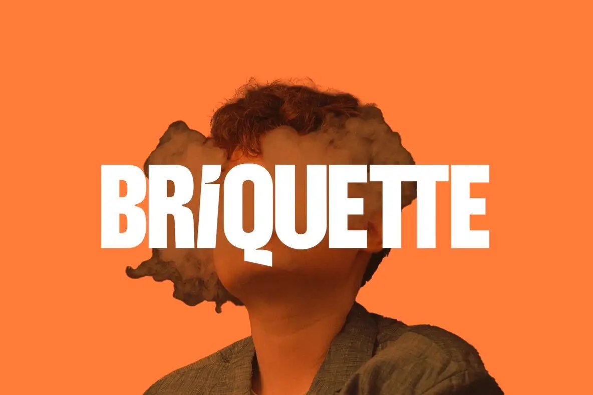 Briquette