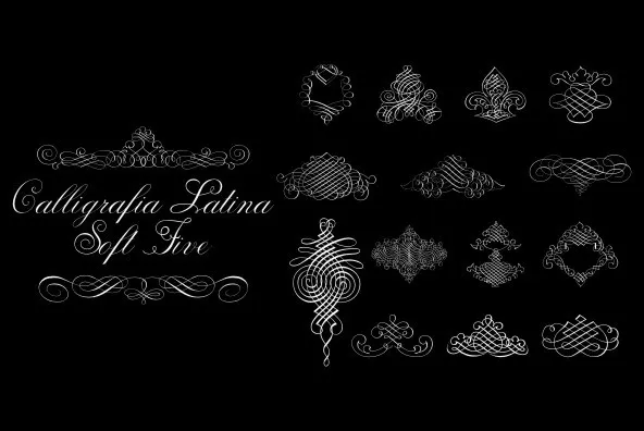 Calligraphia Latina Soft Five