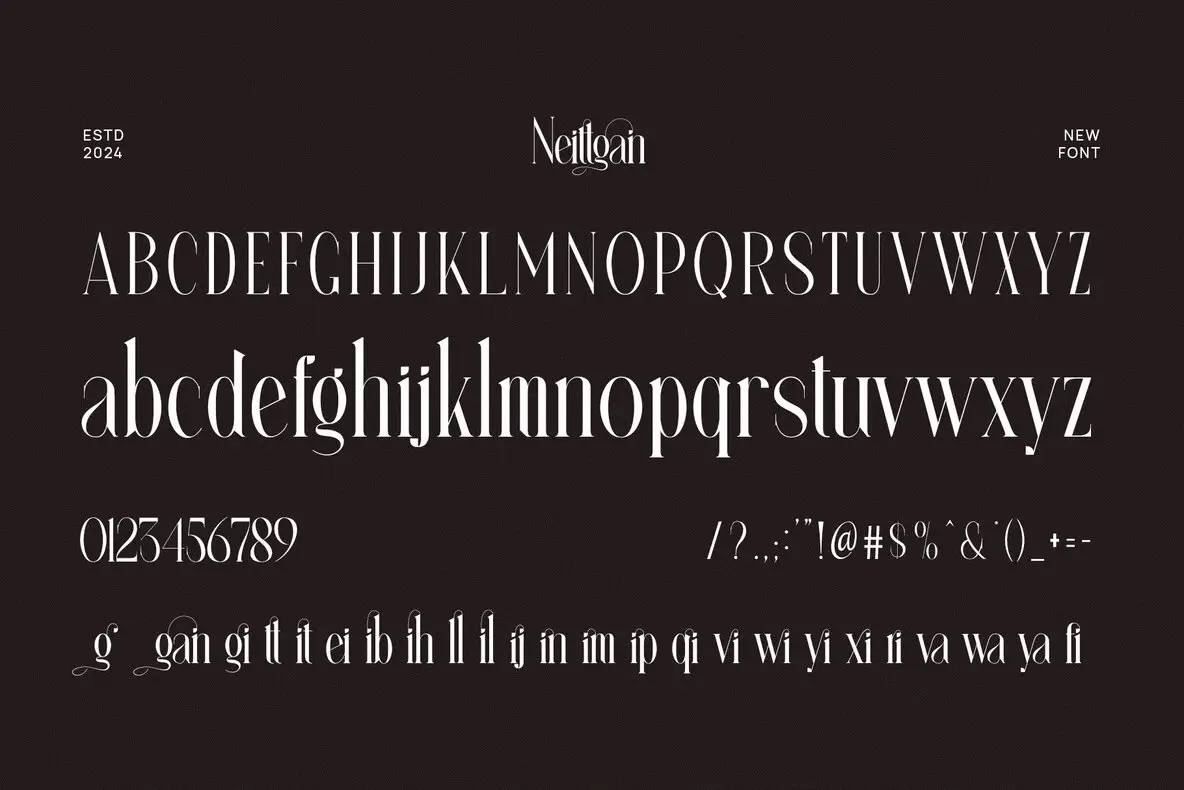Neittgan Font - Fontpath