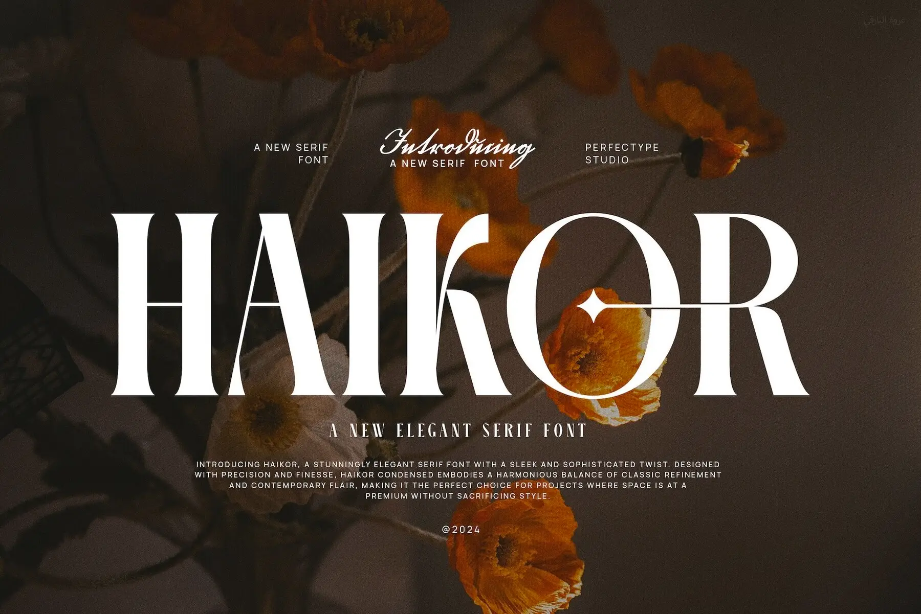 Haikor