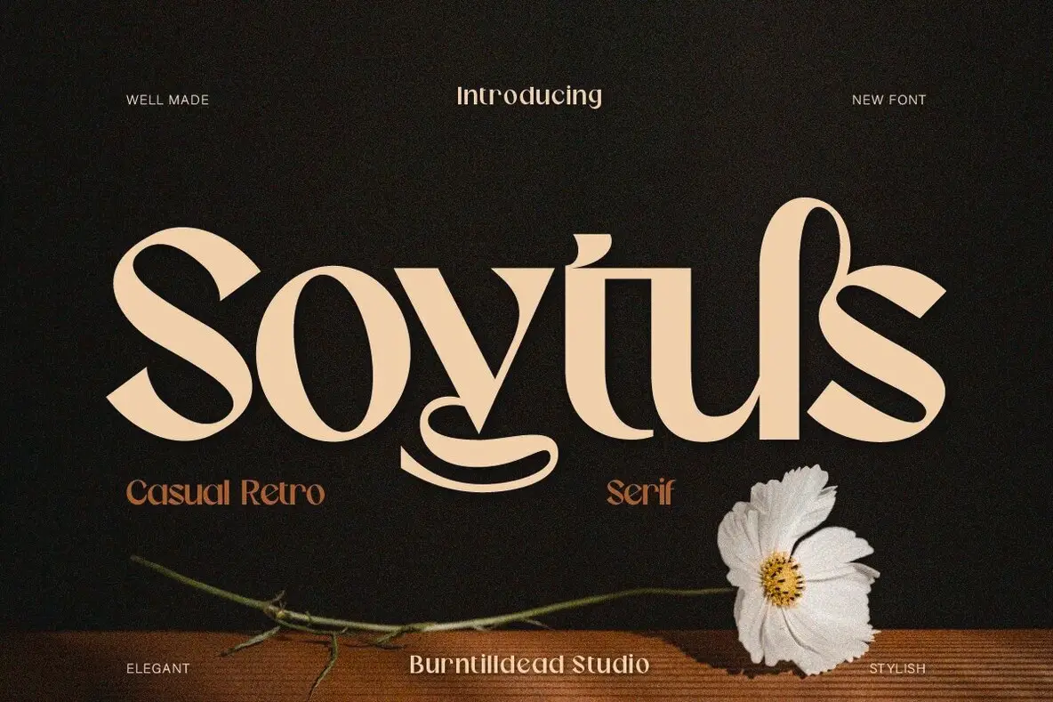 Soytus