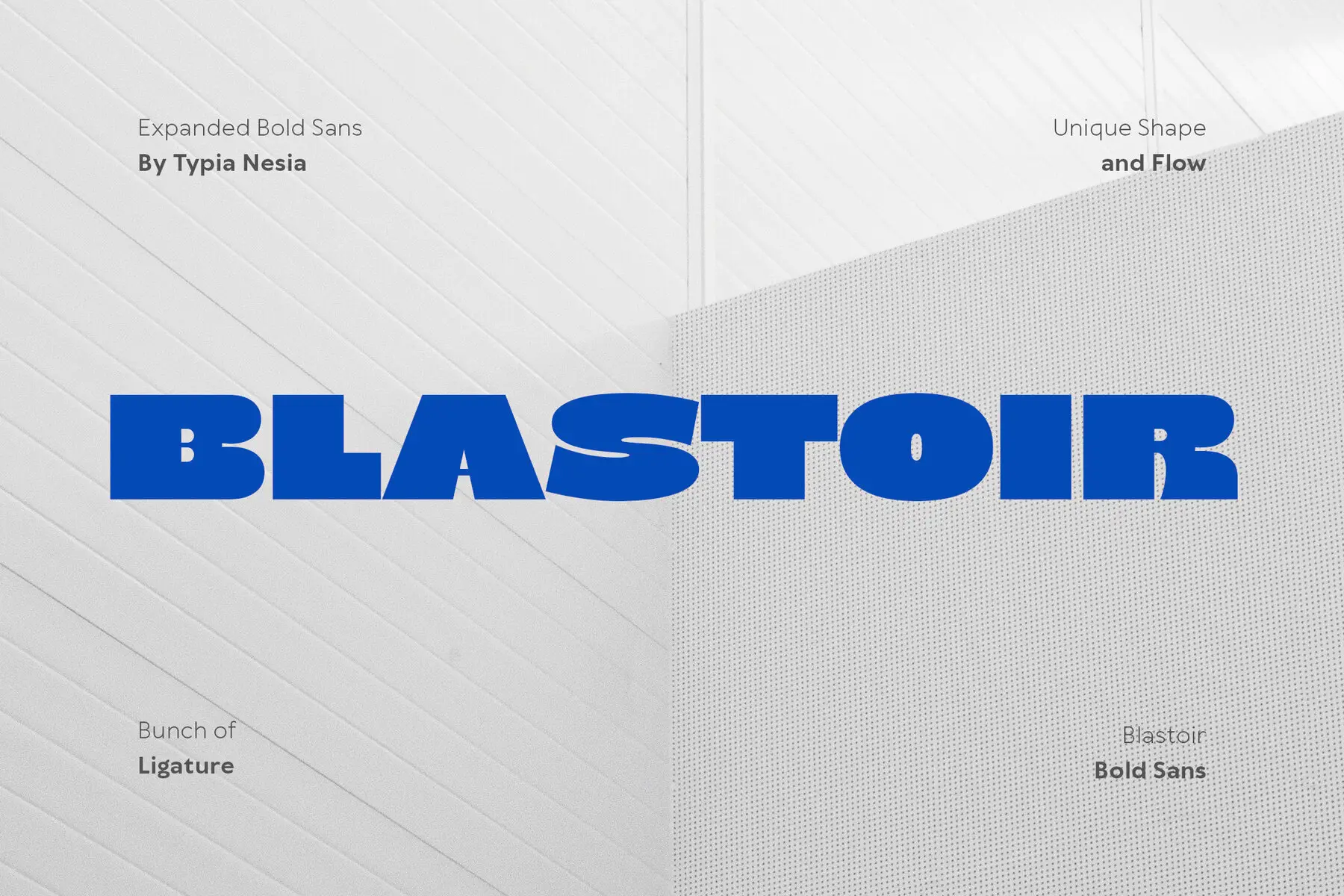 Blastoir