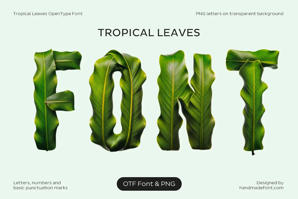 Tropical Leaves